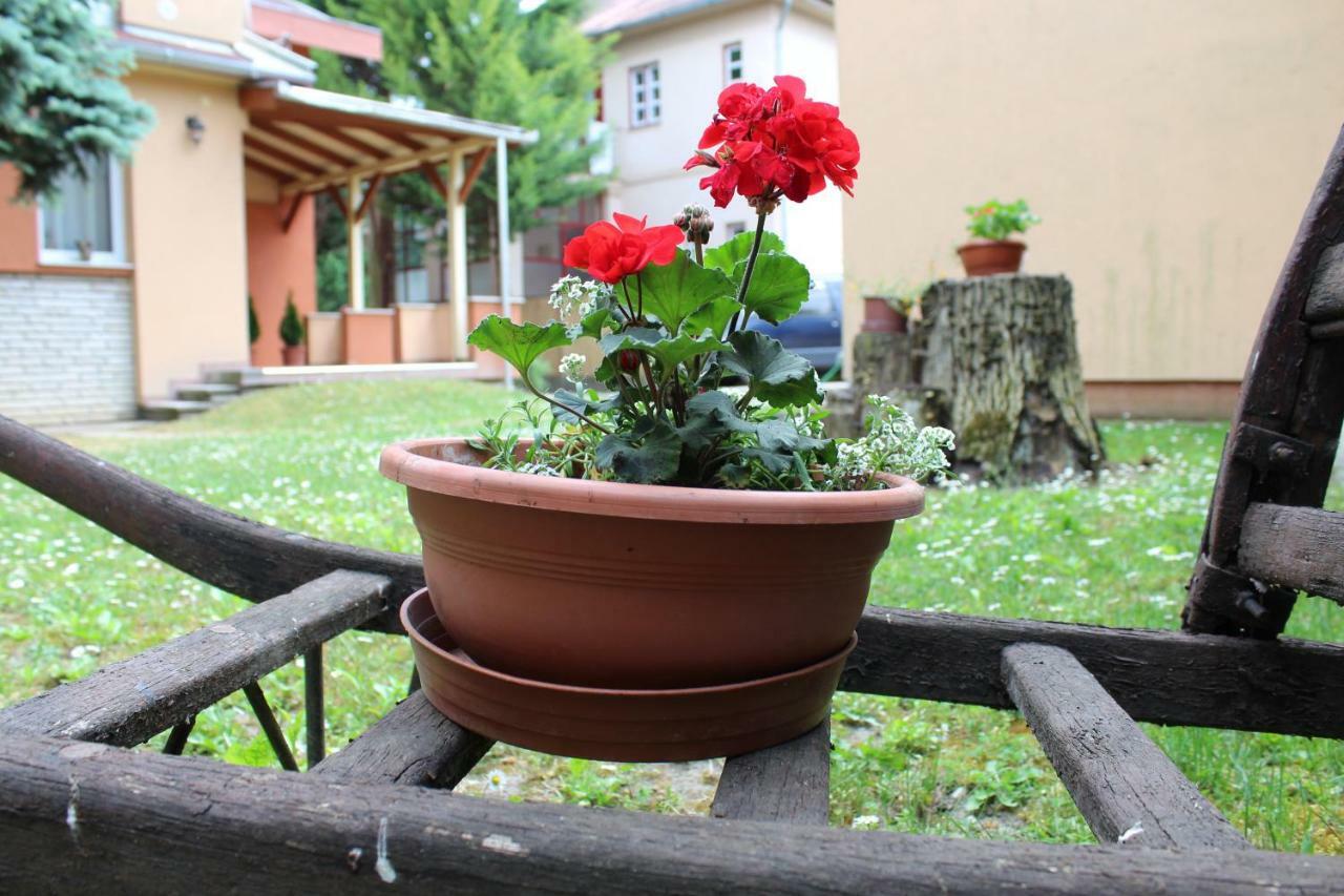 Strigonia Apartman Esztergom Buitenkant foto
